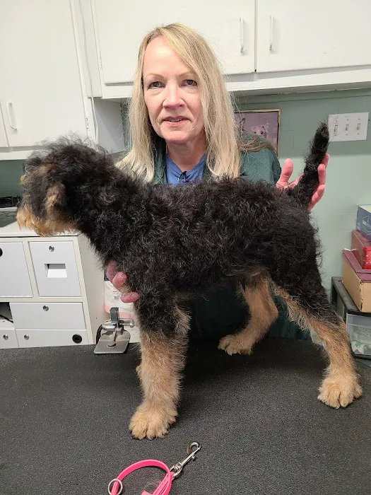 North Oatlands Animal Hospital 5