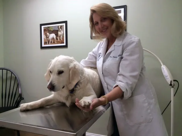Valley Veterinary Hospital 12