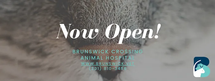 Brunswick Crossing Animal Hospital 12