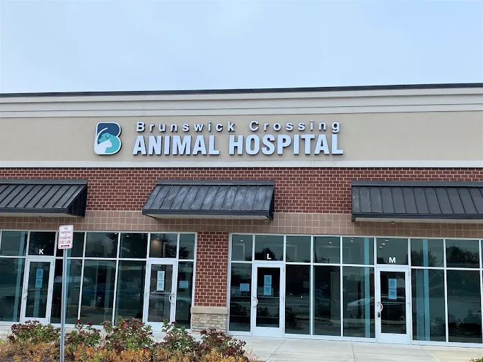 Brunswick Crossing Animal Hospital 12