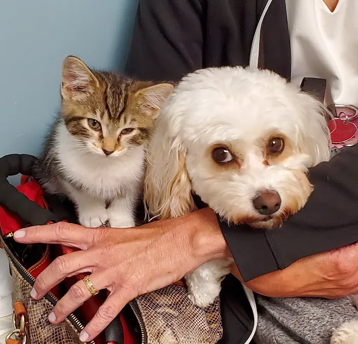 Brunswick Crossing Animal Hospital 12