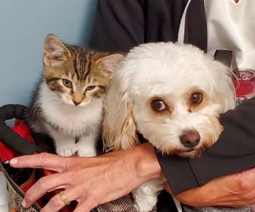 Brunswick Crossing Animal Hospital