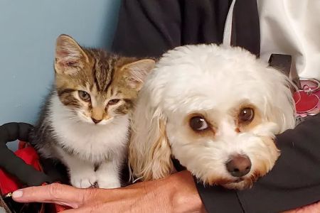 Brunswick Crossing Animal Hospital