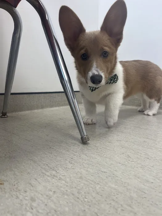 Seven Valleys Vet Hospital 1