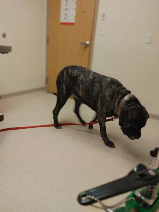 Fallston Veterinary Clinic 12