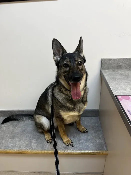 Fallston Veterinary Clinic 12