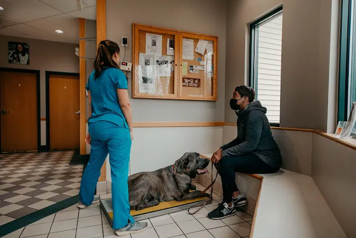 Fallston Veterinary Clinic 12