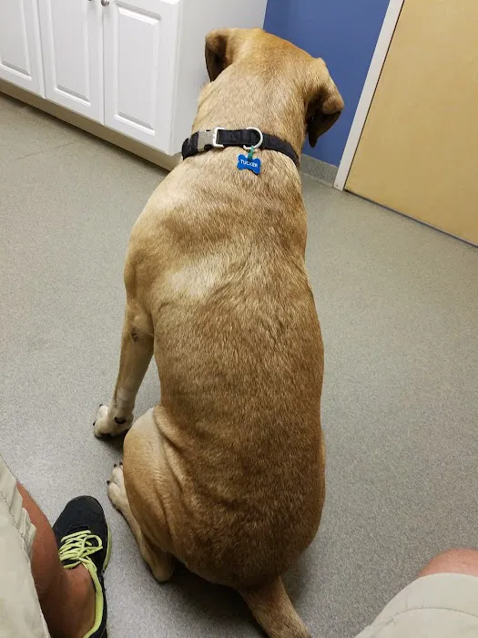 Hickory Veterinary Hospital 12