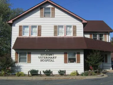 Hickory Veterinary Hospital 12