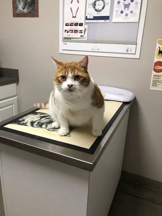 Hickory Veterinary Hospital 12