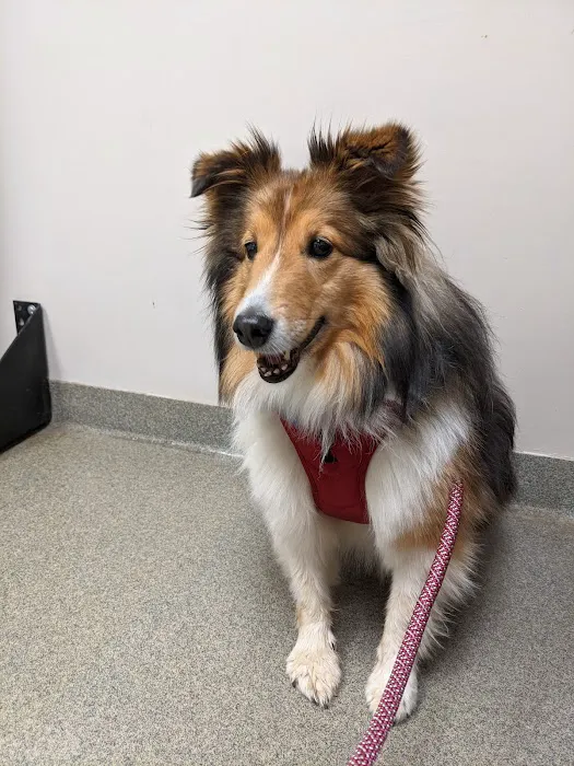 Hickory Veterinary Hospital 12