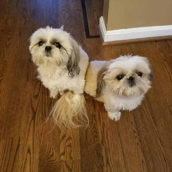 Hickory Veterinary Hospital 12
