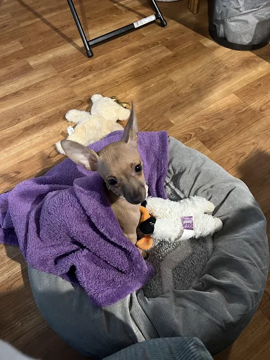 Banfield Pet Hospital 12