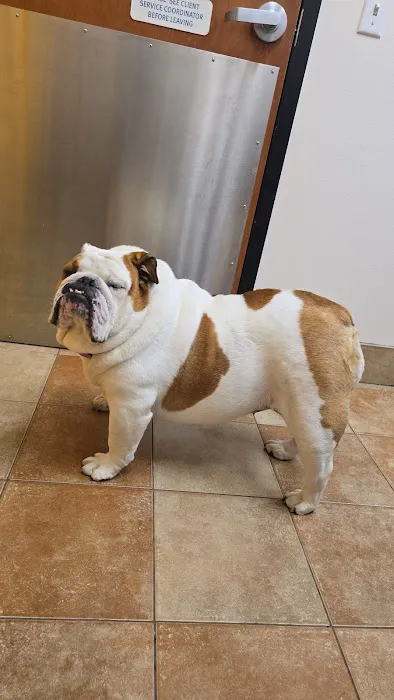 Banfield Pet Hospital 12