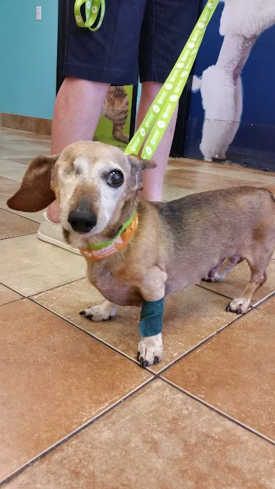 Banfield Pet Hospital 12
