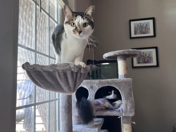 Banfield Pet Hospital 12