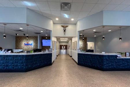 Animal Emergency Hospital