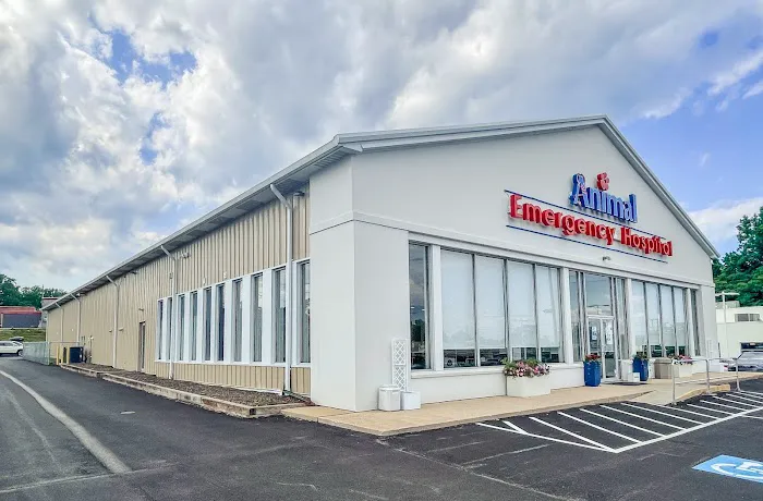 Animal Emergency Hospital 6