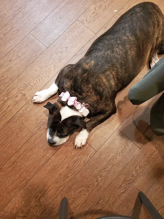 Cambria Veterinary Center 10