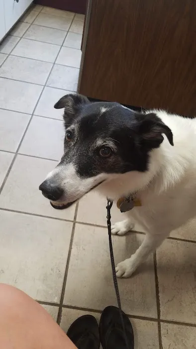 Cambria Veterinary Center 4