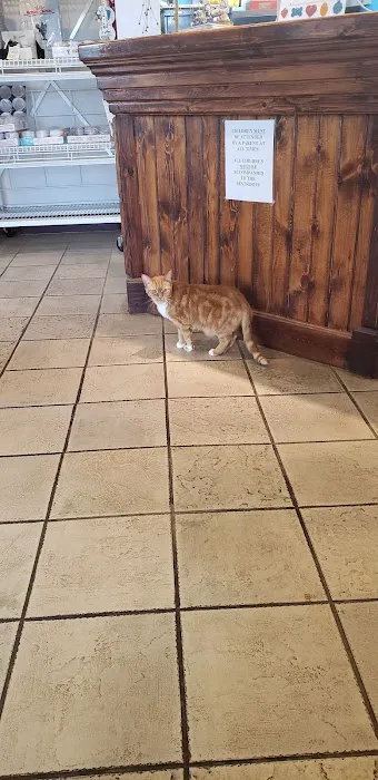 Cambria Veterinary Center 3