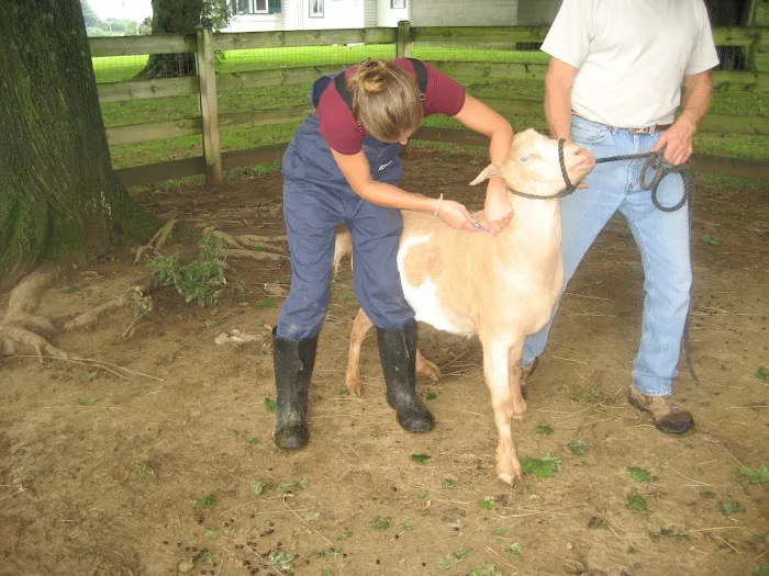 Muddy Creek Veterinary Service 3