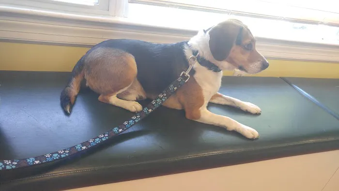 Fountain Green Veterinary Center 12