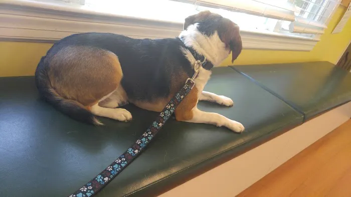 Fountain Green Veterinary Center 12