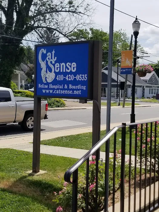 Cat Sense Feline Hospital And Boarding Inc 12