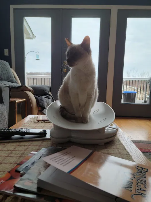 Cat Sense Feline Hospital And Boarding Inc 12