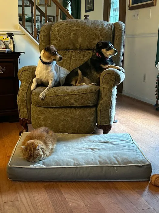 Homeward Bound Veterinary Services 12