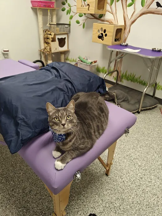 Homeward Bound Veterinary Services 12
