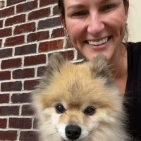 Greenbrier Veterinary Clinic ico