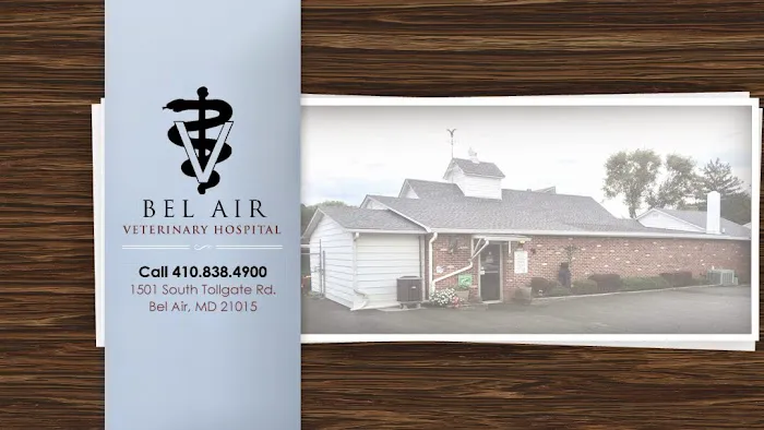 Bel Air Veterinary Hospital 12