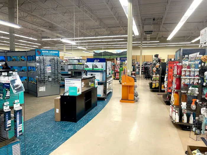 Petco 1