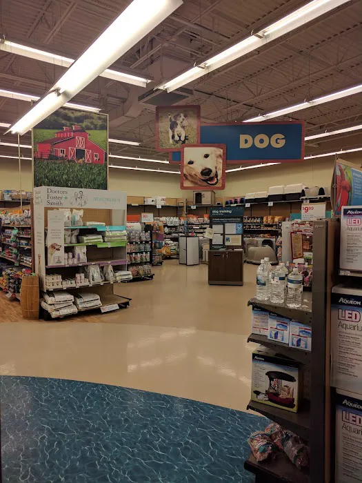 Petco 4