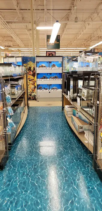 Petco 7
