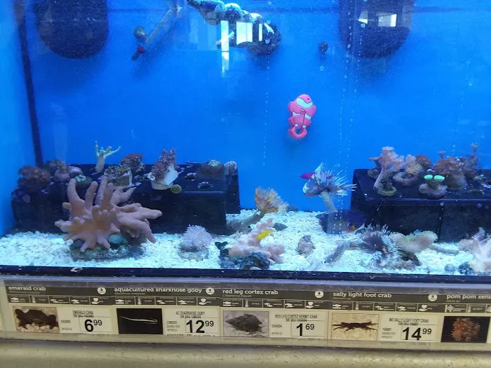 Petco 5