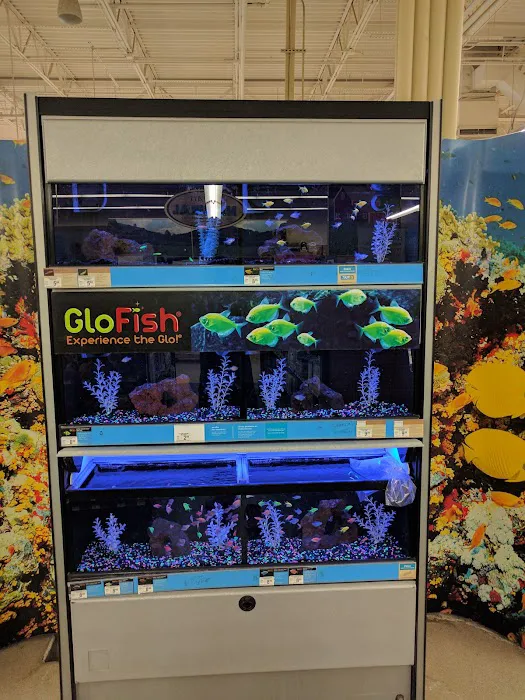 Petco 9