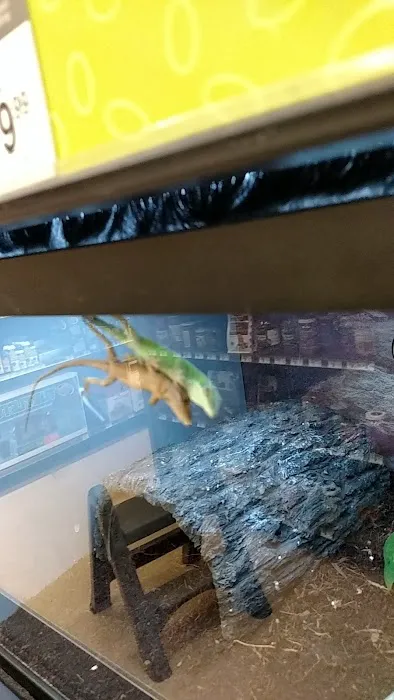 Petco 10