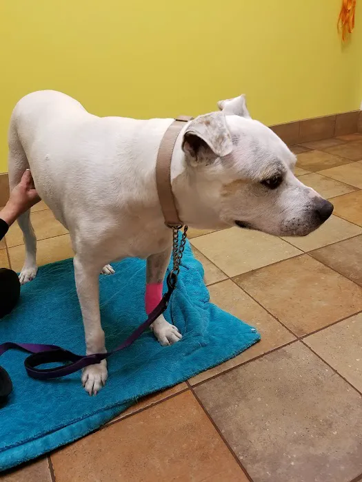 Banfield Pet Hospital 12