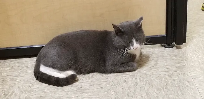 Banfield Pet Hospital 12
