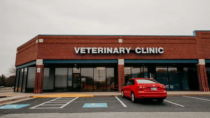 Festival Veterinary Clinic 12