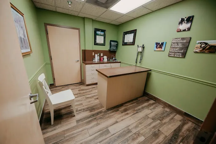 Festival Veterinary Clinic 12