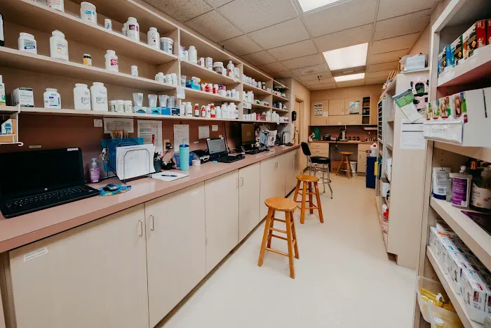 Festival Veterinary Clinic 12