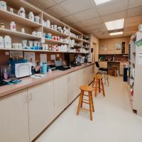 Festival Veterinary Clinic ico