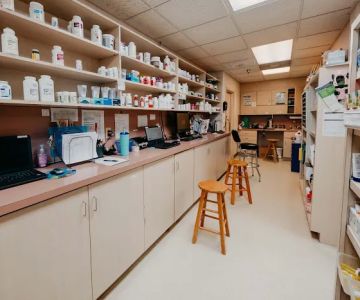 Festival Veterinary Clinic
