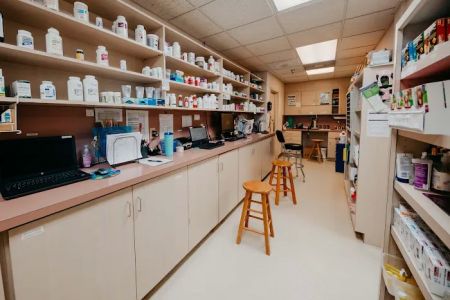Festival Veterinary Clinic