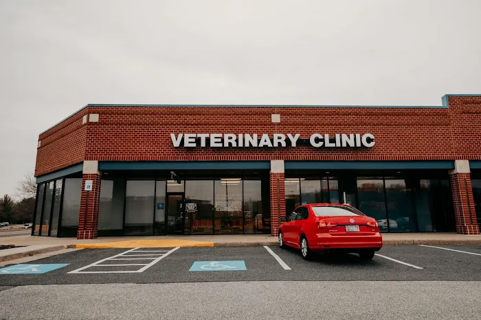 Festival Veterinary Clinic 12