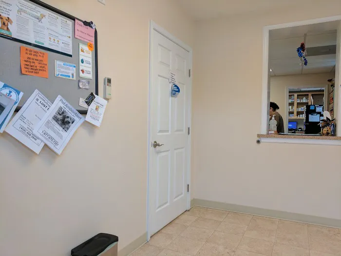 Edgewood Veterinary Hospital 7